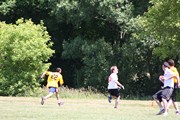OTFL Gallery Image
